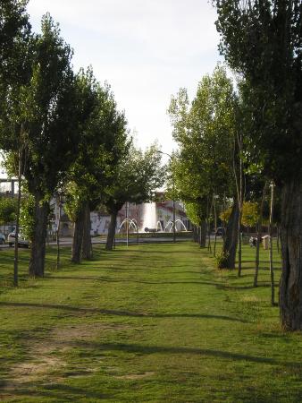Vista en miniatura