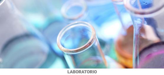 Imagen Laboratorio Prodestur