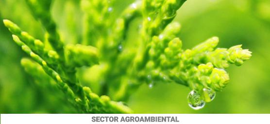 Imagen Sector Agroambiental Prodestur