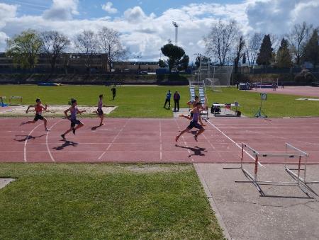 Las finales de Atletismo en Pista Escolar concluyen con las deportistas Cadete como mejores representantes de la provincia
