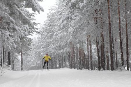 Imagen Segovia apostará en Fitur por el turismo activo y de congresos