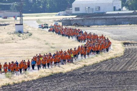 Imagen Unas 850 personas se inscribieron en el II Paseo Solidario de Navalmanzano