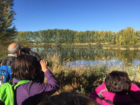 Imagen Las riberas del Voltoya acogieron la tercera ruta de otoño