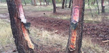 Imagen 45 actividades empresariales de nueva creación se beneficiaron de las ayudas de la Diputación en 2016