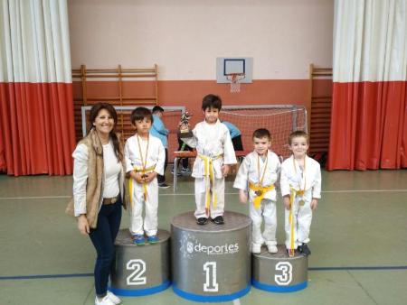 Imagen 182 escolares participaron en la concentración provincial de Judo celebrada en San Ildefonso