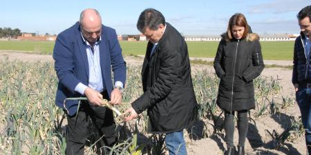 Imagen La Diputación renueva con Asoprofit el convenio que persigue mantener la calidad del puerro y zanahoria segovianos