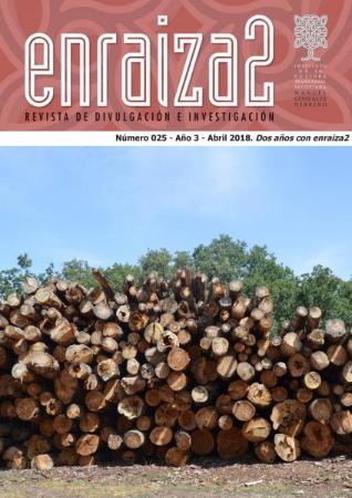 Imagen Dos años apilando en enraiza2