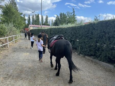 La Diputación de Segovia aprueba las bases del Programa de Iniciación a la Hípica que acercará esa disciplina a nuevos jinetes de la provincia