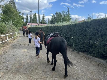 Imagen La Diputación de Segovia aprueba las bases del Programa de Iniciación a la Hípica que acercará esa disciplina a nuevos jinetes de la...