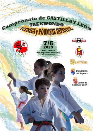 Campeonato de Castilla y León Taekwondo Técnica y Poomsae Infantil