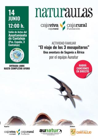 El viaje de los 3 mosquiteros