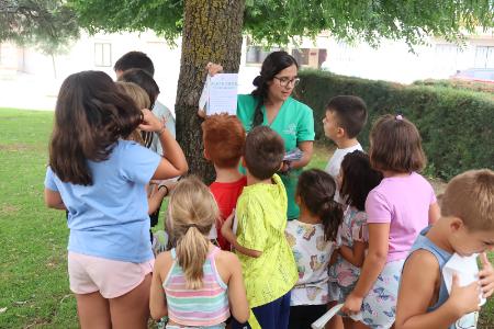 El programa ‘Scape Cook con Alimentos de Segovia’ se estrena en cuatro municipios reuniendo a más de ochenta niños en una experiencia...