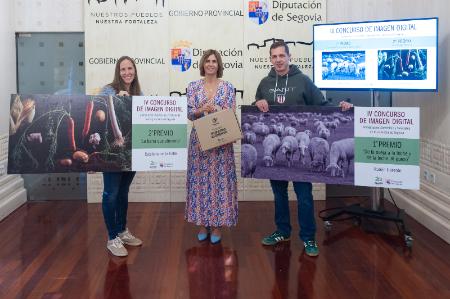 Imagen La Diputación de Segovia premia la creatividad en torno a la...