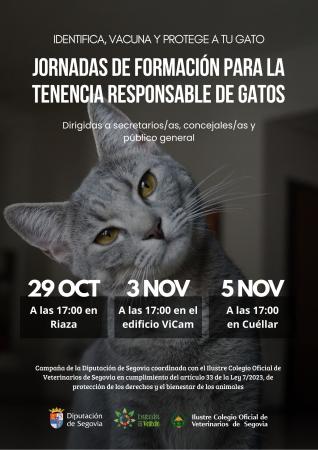 La Diputación de Segovia impulsa este otoño jornadas temáticas sobre tenencia responsable de gatos y actividades de montaña bajo el programa...