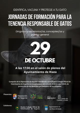 CARTEL RIAZA jornada para la tenencia responsable de gatos_page-0001