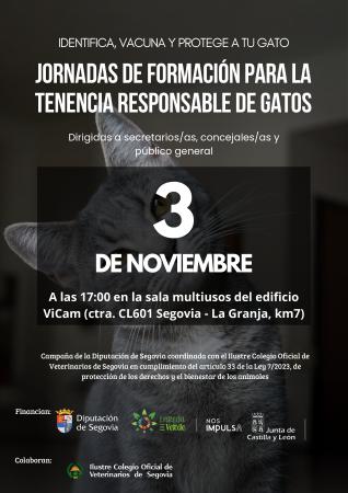 CARTEL VICAM jornada para la tenencia responsable de gatos_page-0001