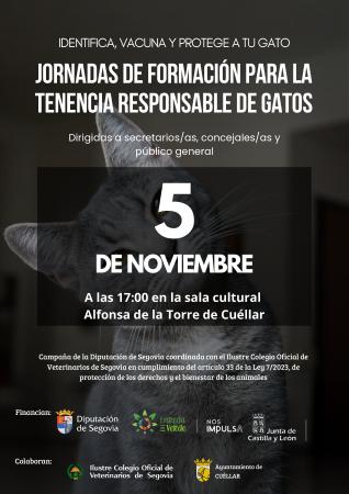 CARTEL CUELLAR jornada para la tenencia responsable de gatos_page-0001