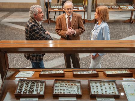 Las mariposas del mundo toman el Patio de Columnas de la Diputación de Segovia con una exposición de casi novecientos ejemplares de los más...