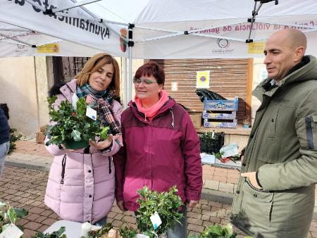 Imagen La provincia de Segovia celebra el puente de diciembre con la Feria del...