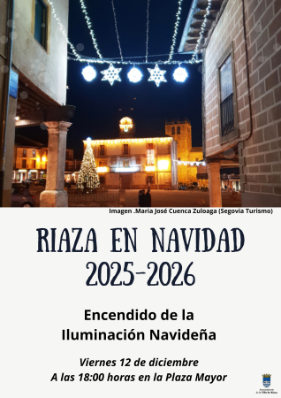 Imagen Encendido de la iluminación navideña