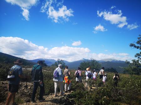 El Aserradero de Valsaín y el Cerro del Puerco muestran los oficios del monte a más de una veintena de visitantes del programa ‘Viajero, yo te...