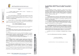 Imagen BANDO LIMPIEZA SOLARES