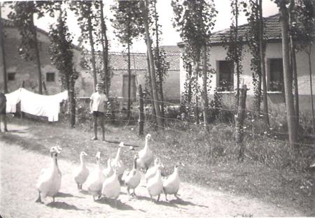 FOTO ANTIGUA 3