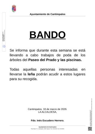 Imagen BANDO