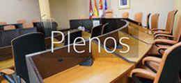 Plenos