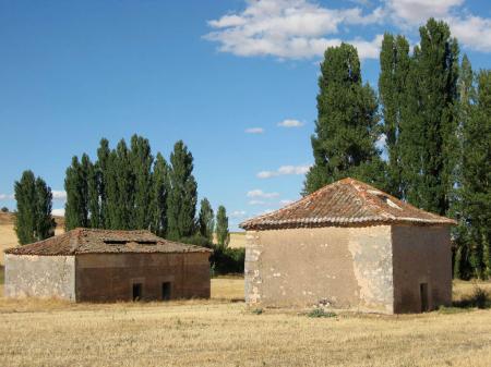 Palomares en Pajarejos 8902953