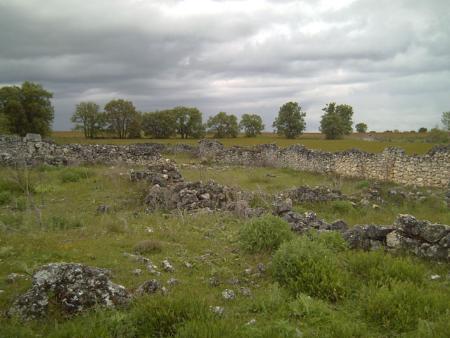 Monte del concejo6