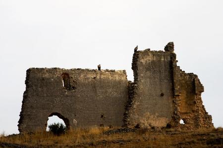 Dos buitres leonados posados sobre las ruinas de una de las ermitas