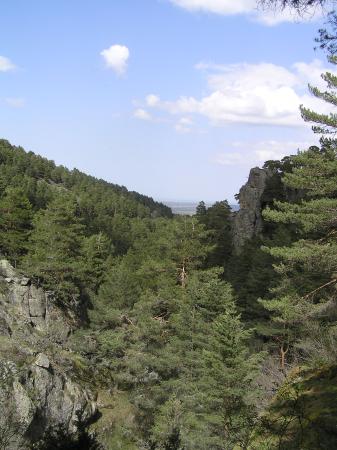 Vistas desde el nacimiento del arroyo Peñalobanto