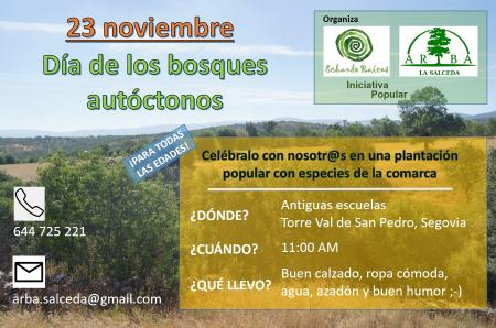 Imagen DÍA DE LOS BOSQUES AUTÓCTONOS