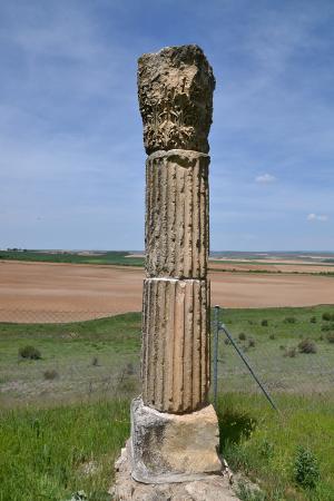 Imagen Termas del Foro. Fragmentos arquitectónicos conservados en un jardín del cercano pueblo de Perorrubio.