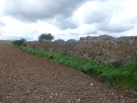 Imagen Foro pecuario. Muros del recinto.