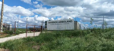 Imagen VIVERO ARBOLAND