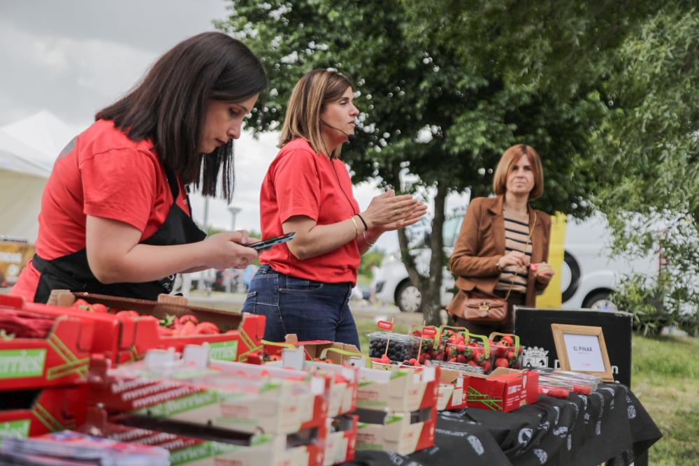 La Diputación de Segovia concede 131 ayudas a empresas y asociaciones de Alimentos de Segovia para reforzar la actividad del sector...