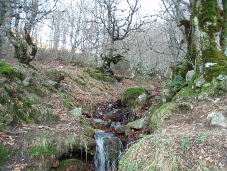 Nacimiento del río Riaza