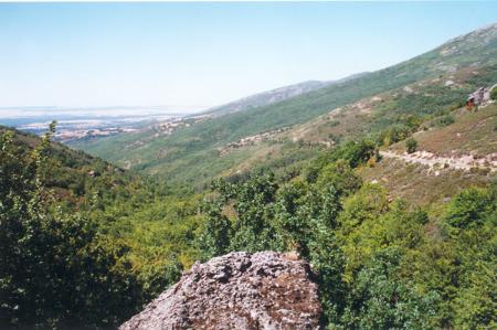 Vistas desde el hayedo