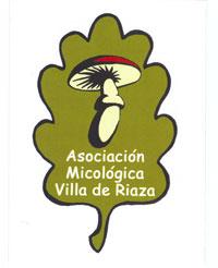 Imagen ASOCIACIÓN MICOLÓGICA 