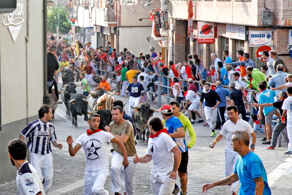 Fiestas populares, espectáculos de calle y rutas por la provincia cierran un mes de agosto con una intensa agenda cultural en la provincia de...