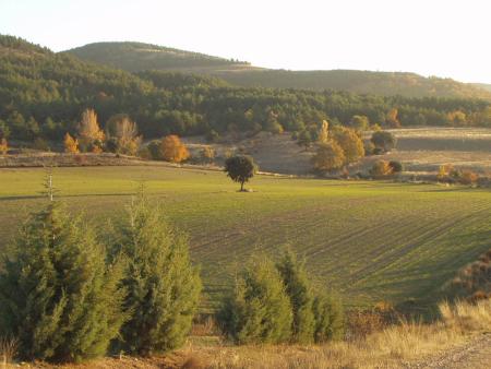 Aldeanueva Vistas (11)