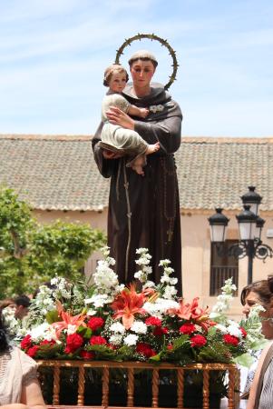 Imagen FIESTAS SAN ANTONIO 2020