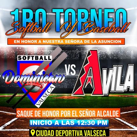 Imagen TORNEO DE BASEBALL. 21 DE JULIO.