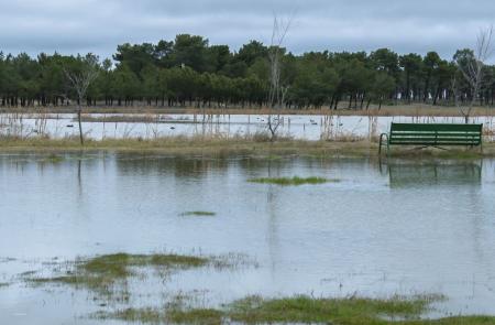 Imagen Laguna Pellejos