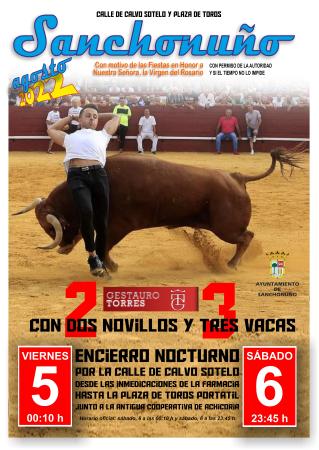 Cartel Toros Sanchonuño 2022 (1)