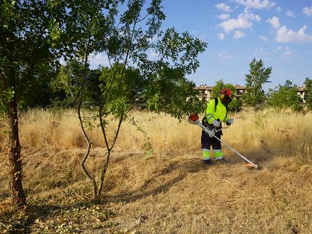 Las brigadas forestales de la Diputación de Segovia ejecutan trabajos de prevención de incendios en más de cien municipios desde el inicio de...