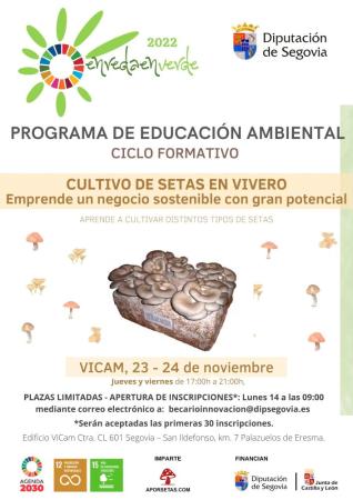 Imagen La Diputación de Segovia propone dos cursos sobre el cultivo e identificación de setas dentro de su programa ‘Enreda en Verde 2022’