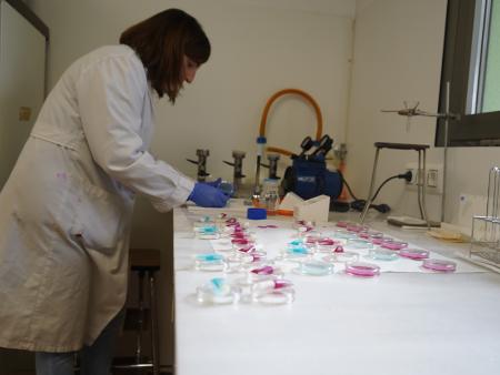 El laboratorio de Prodestur normaliza su actividad de análisis agrarios y asesoramiento, después de unas semanas de intenso control de las...